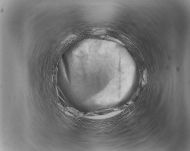 X0000053081441200508081233