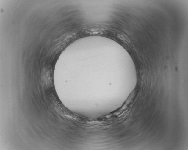 X0000053081442200508081233