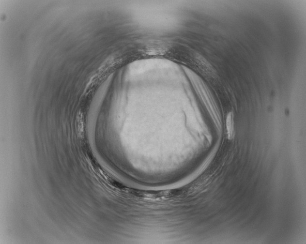 X0000053081443200508081233