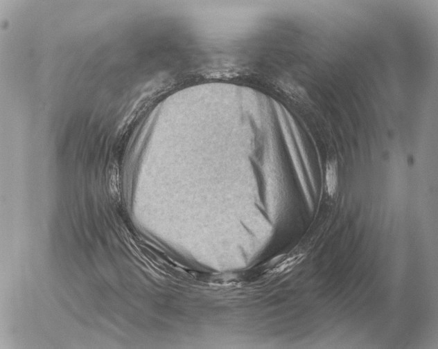 X0000053081444200508081233