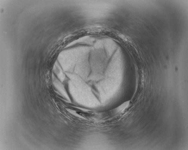 X0000053081445200508081233