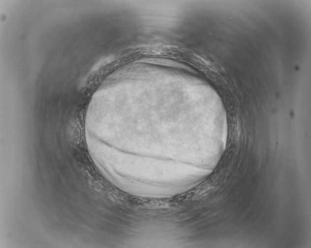 X0000053081446200508081233