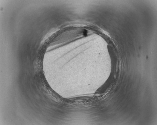 X0000053081448200508081233