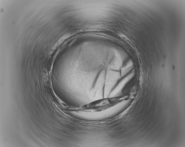 X0000053081449200508081233