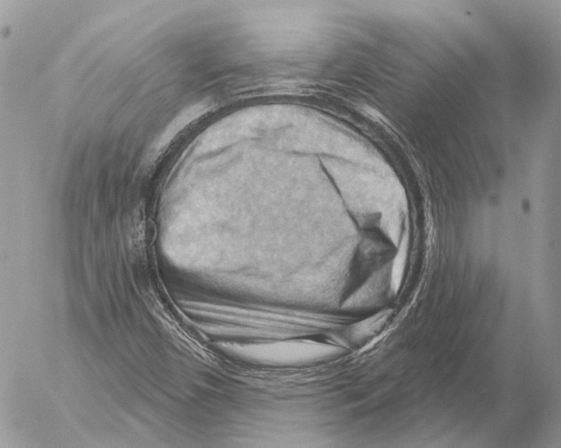 X0000053081450200508081233