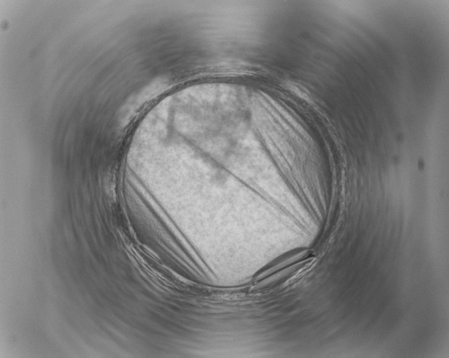 X0000053081451200508081233