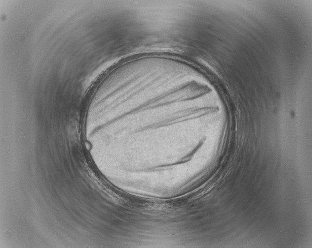 X0000053081452200508081233