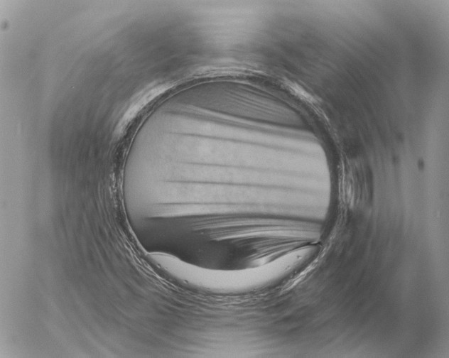 X0000053081453200508081233