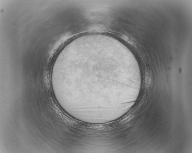 X0000053081454200508081233