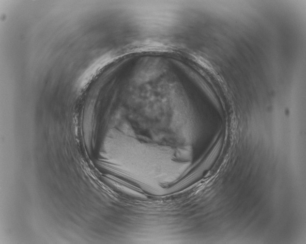 X0000053081455200508081233