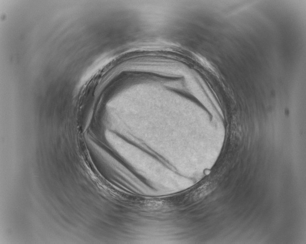 X0000053081456200508081233