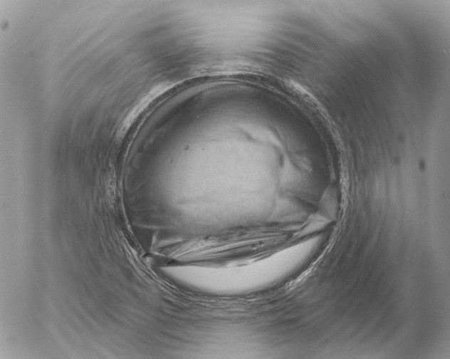 X0000053081457200508081233