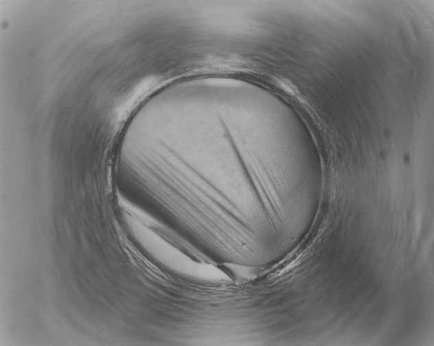 X0000053081459200508081233