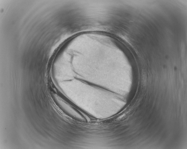 X0000053081460200508081233