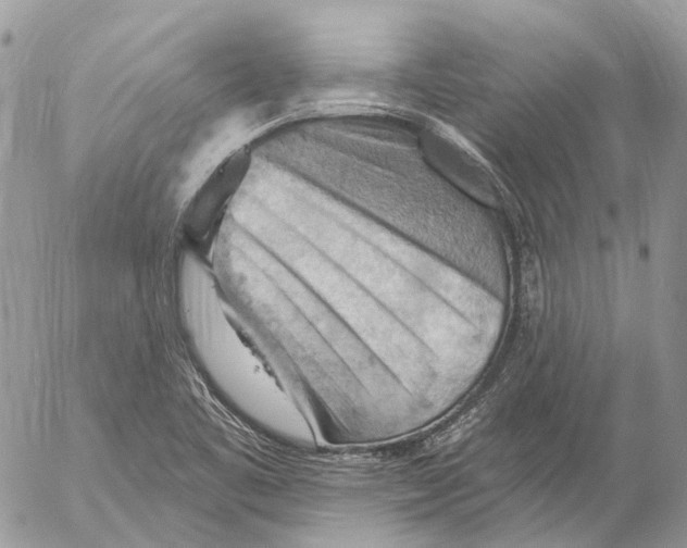 X0000053081461200508081233