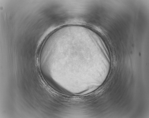 X0000053081462200508081233