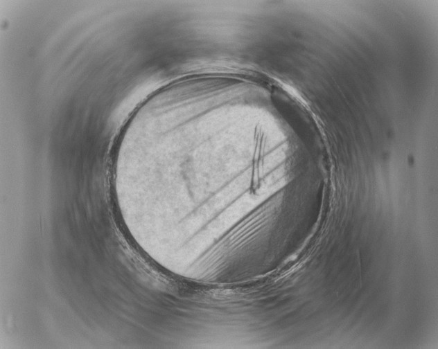 X0000053081463200508081233