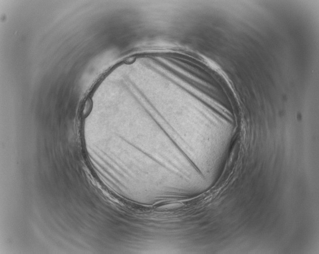 X0000053081464200508081233