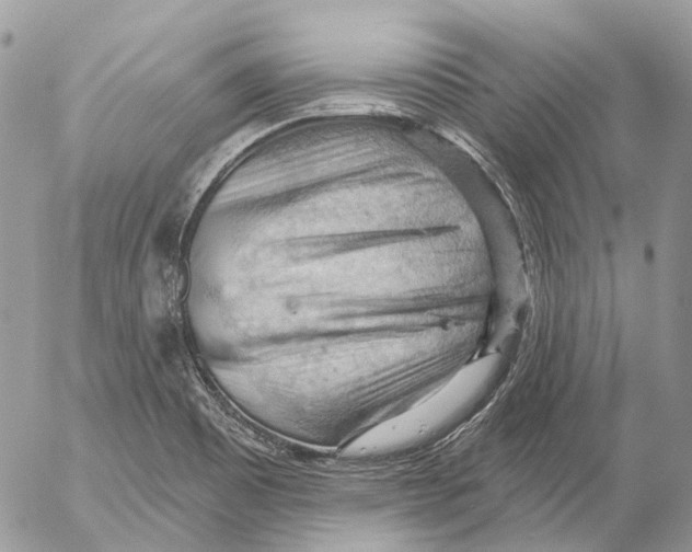 X0000053081465200508081233