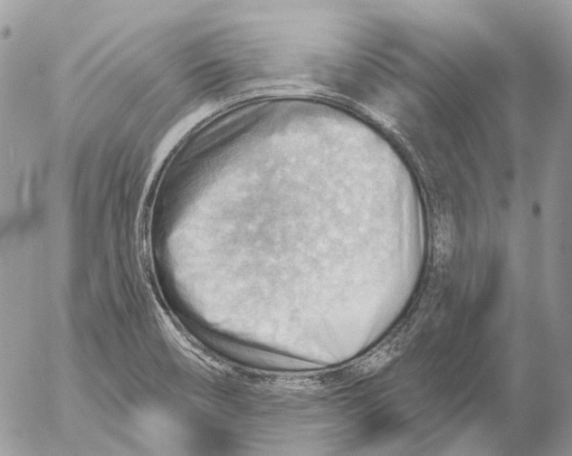 X0000053081466200508081233