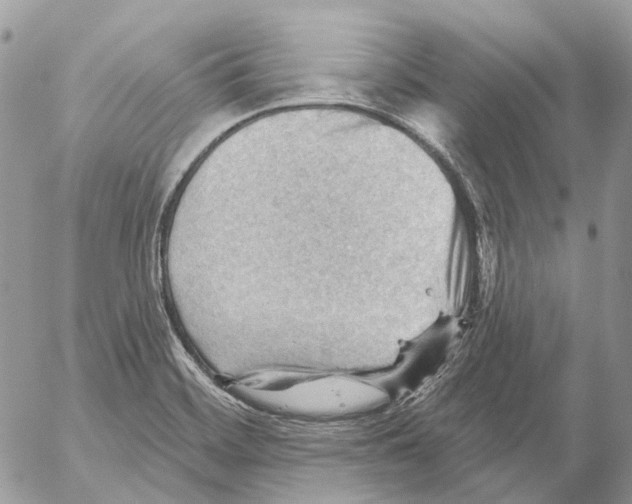 X0000053081468200508081233