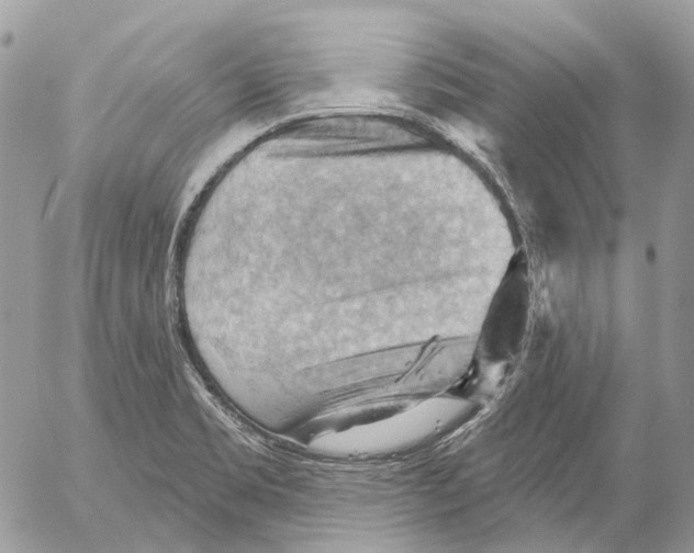 X0000053081469200508081233