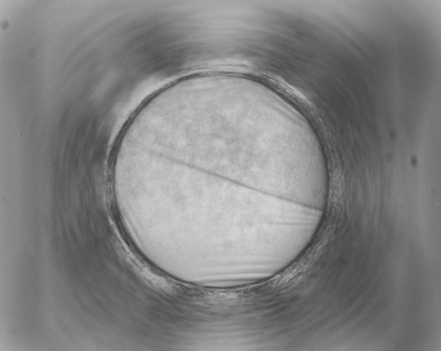 X0000053081470200508081233