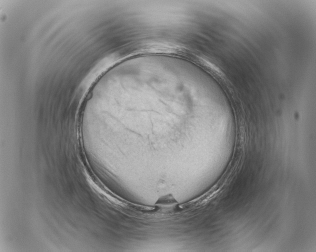 X0000053081471200508081233