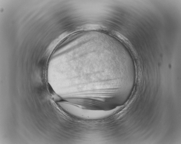 X0000053081473200508081233