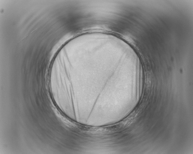 X0000053081474200508081233