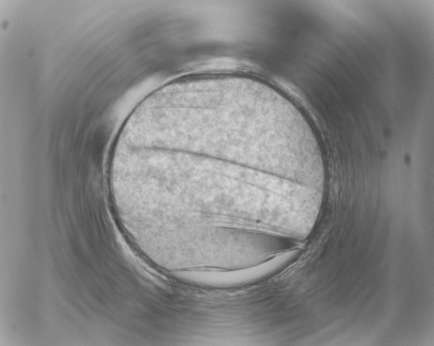 X0000053081475200508081233