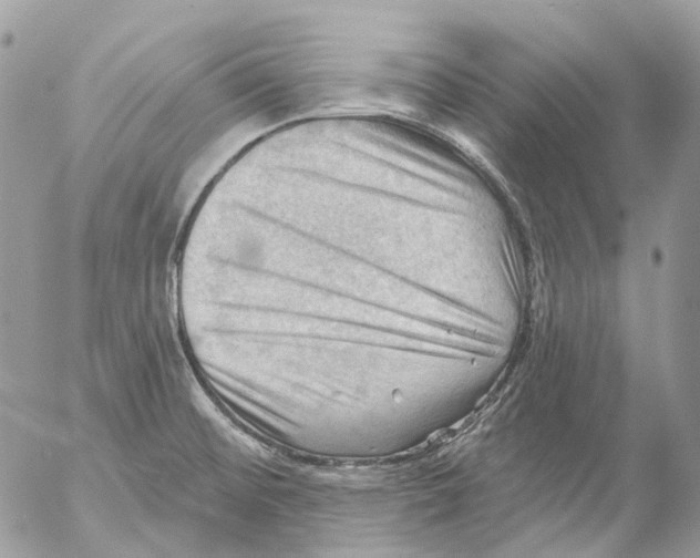 X0000053081476200508081233