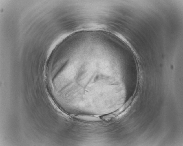 X0000053081477200508081233