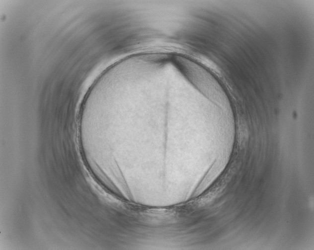 X0000053081478200508081233