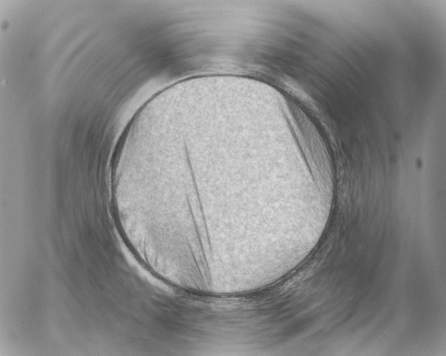 X0000053081479200508081232