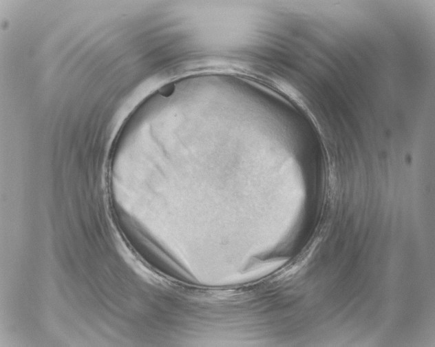 X0000053081482200508081232