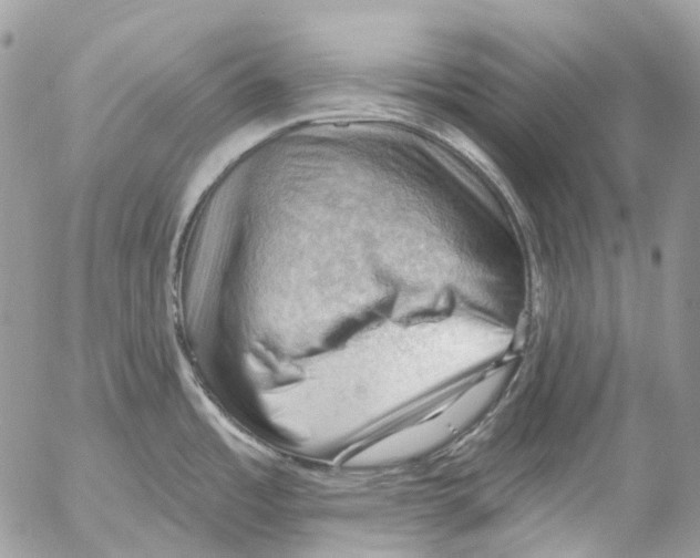 X0000053081485200508081232