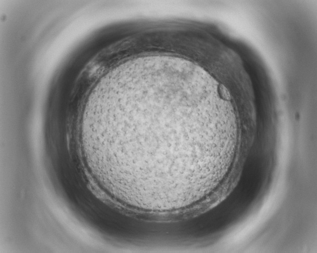 X0000053081487200508081232