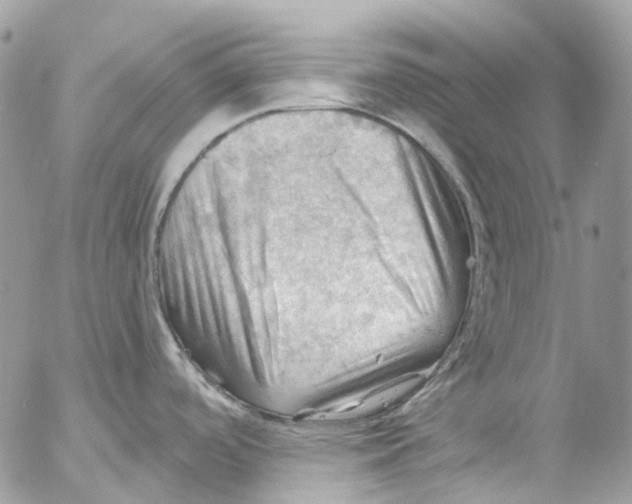 X0000053081488200508081232