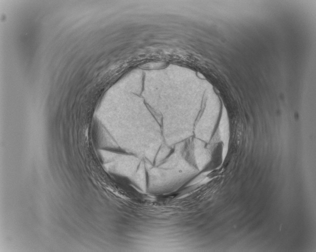 X0000053081489200508081232