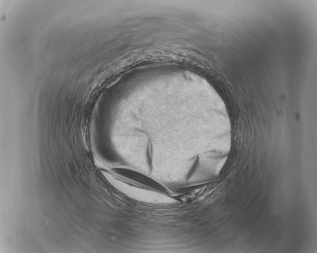 X0000053081490200508081232