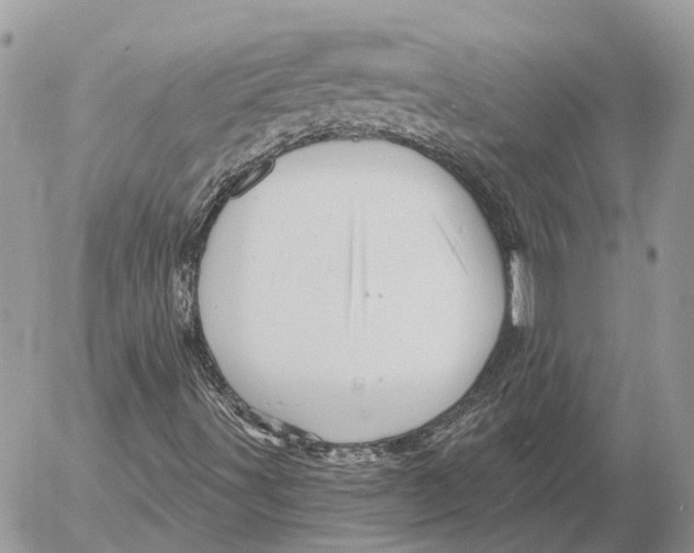 X0000053081491200508081232