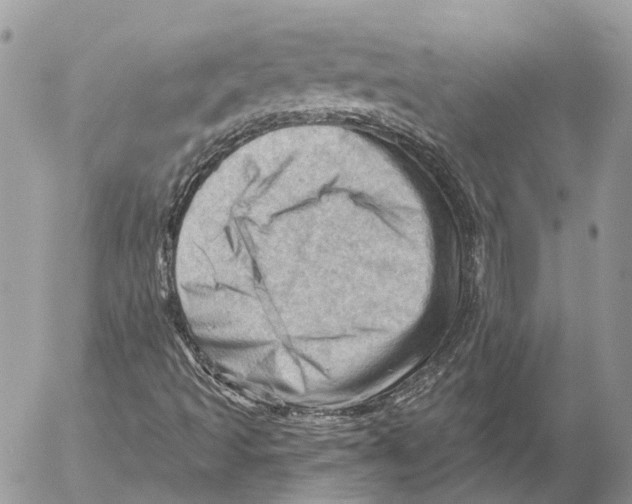 X0000053081493200508081232