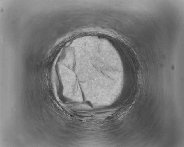 X0000053081494200508081232