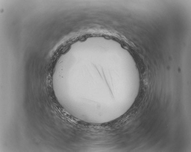 X0000053081495200508081232