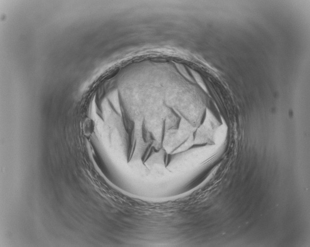 X0000053081496200508081232