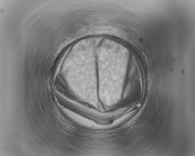 X0000053081497200508081232