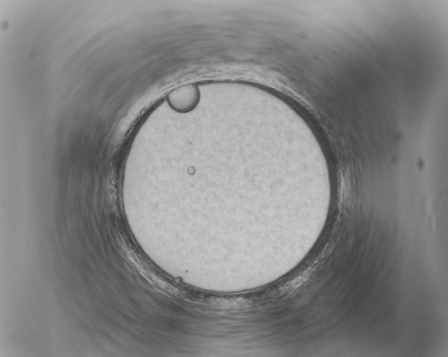 X0000053081498200508081232