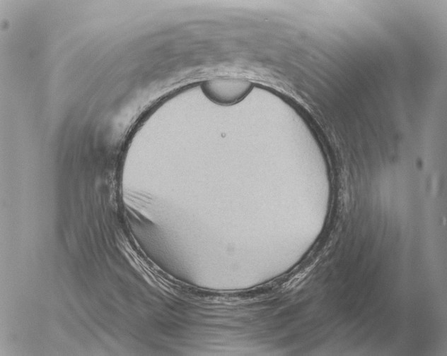 X0000053081499200508081232