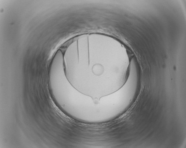 X0000053081500200508081232